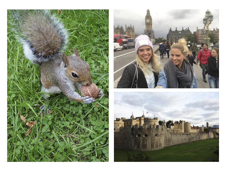 Telephone Box, Telefonzelle, Tower Bridge, London, Buckingham Palace, Queen, Schueleraustausch; ADC College, Sky garden; Fish´n´Chips