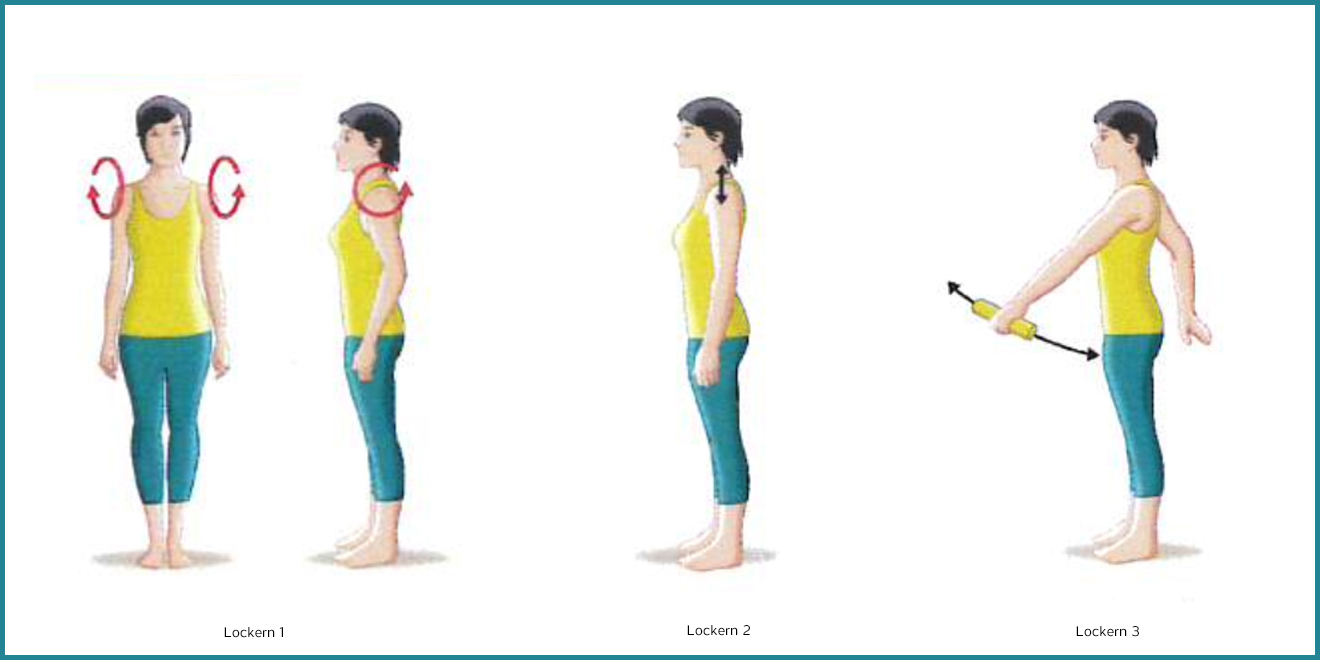 Rückenschule, Rückenschmerzen, Übungen Rücken, Rückenmuskulatur, Rückentraining, Rückenmuskulatur aufbauen, Rückenschule Übungen, Rücken Stärken, Rückenmuskulatur stärken, Rücken Alltag, Schultergürtel, Schultermuskulatur, Schulterapparat, Schultern stärken, Muskeln Schultern, Schultermuskulatur aufbauenRückenschule, Rückenschmerzen, Übungen Rücken, Rückenmuskulatur, Rückentraining, Rückenmuskulatur aufbauen, Rückenschule Übungen, Rücken Stärken, Rückenmuskulatur stärken, Rücken Alltag Rückenschule, Rückenschmerzen, Übungen Rücken, Rückenmuskulatur, Rückentraining, Rückenmuskulatur aufbauen, Rückenschule Übungen, Rücken Stärken, Rückenmuskulatur stärken, Rücken Alltag, Schultergürtel, Schultermuskulatur, Schulterapparat, Schultern stärken, Muskeln Schultern, Schultermuskulatur aufbauen