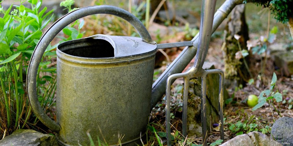 Gießkanne in einem Garten